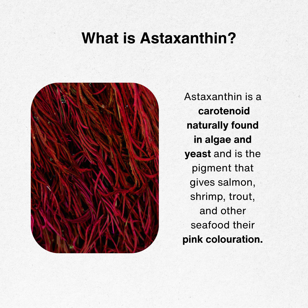 Astaxanthin